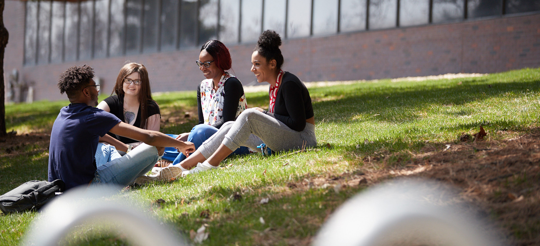 Students studying on grass near campus walkway
